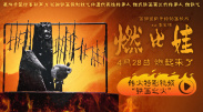 亚洲成人一区在线