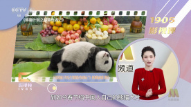 礼仪老师